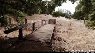 Blowjob in the public park. Lucky for us it wasn't busy...
