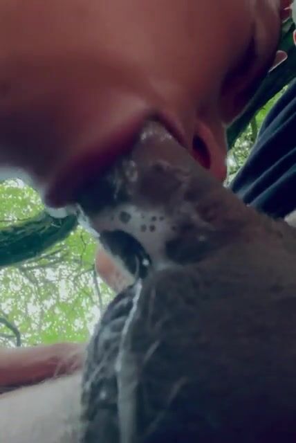 Sometimes you just have to think fuck it and slobber on a cock in the park