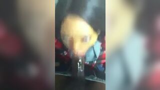 Ebony Throat: Why I Love Dirty Thots ????????‍♂️ #3