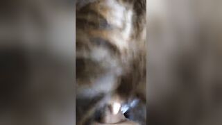 Cute Wife Giving Blowjob