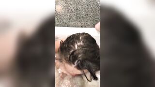 BlowJob: Bathtub blowing #5