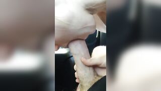 Sensual Suck ????